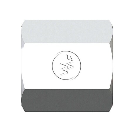 World Wide Fittings Pipe Cap - Female Pipe Thread 5406CX06